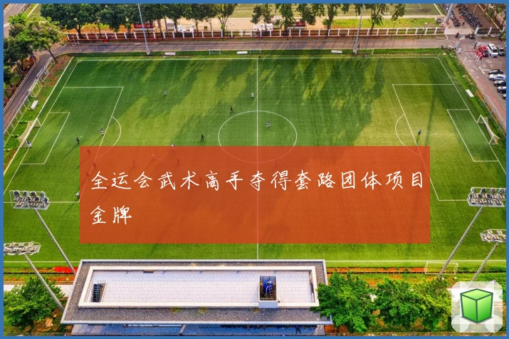 全运会武术高手夺得套路团体项目金牌