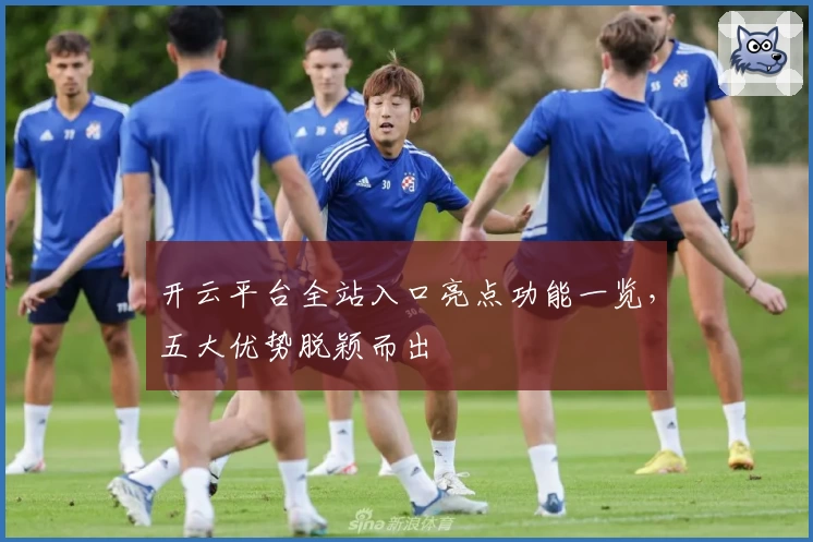 开云平台全站入口亮点功能一览，五大优势脱颖而出