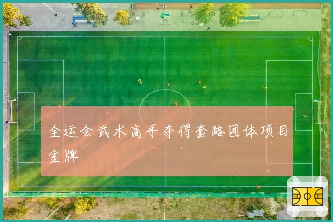 全运会武术高手夺得套路团体项目金牌