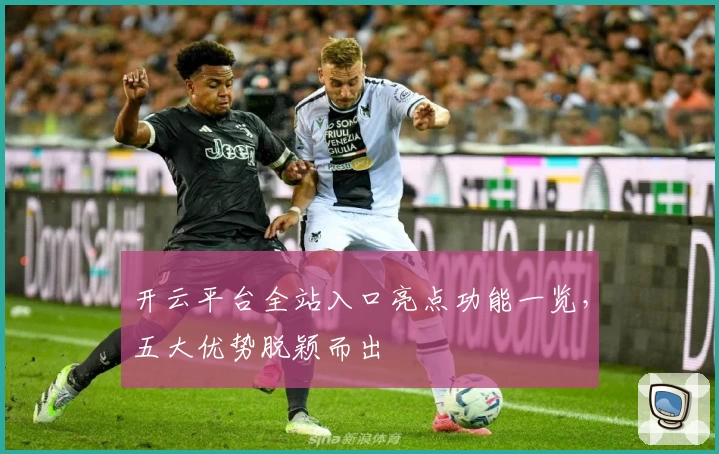 开云平台全站入口亮点功能一览，五大优势脱颖而出