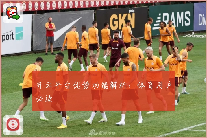 开云平台优势功能解析，体育用户必读