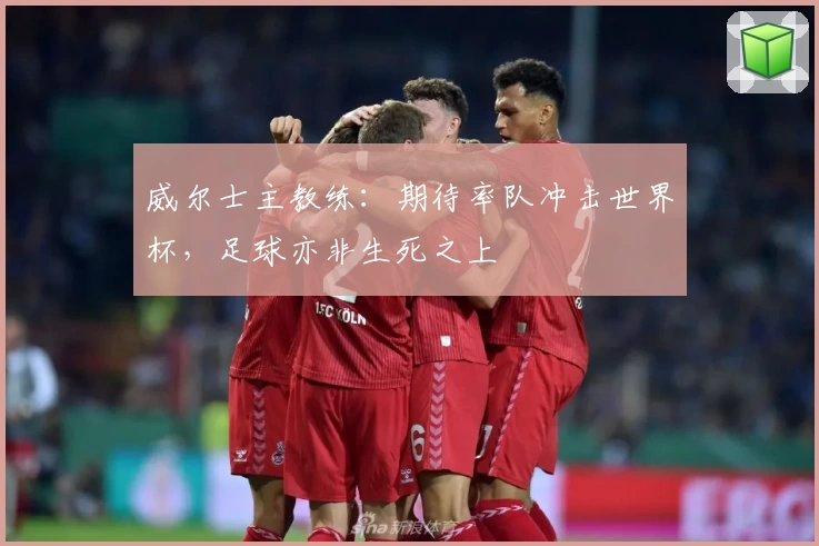 威尔士主教练:期待率队冲击世界杯,足球亦非生死之上
