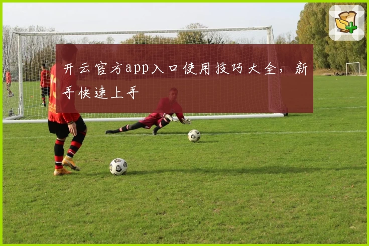 开云官方app入口使用技巧大全，新手快速上手